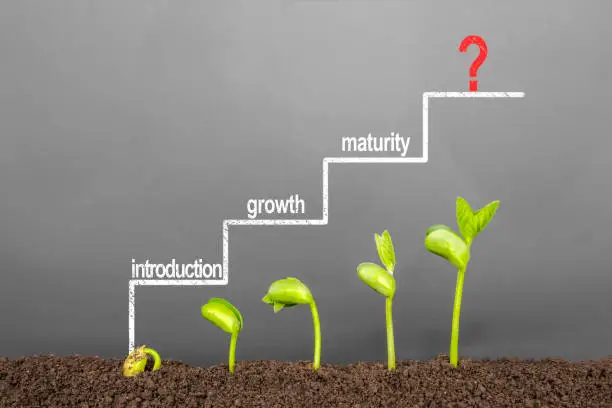 Top 5 Stages of Software Development